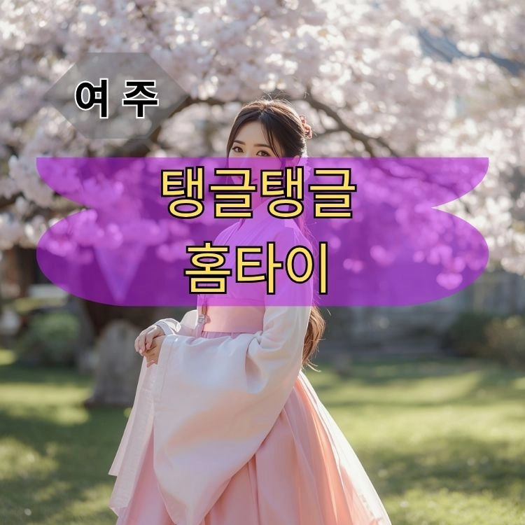기획전 이미지