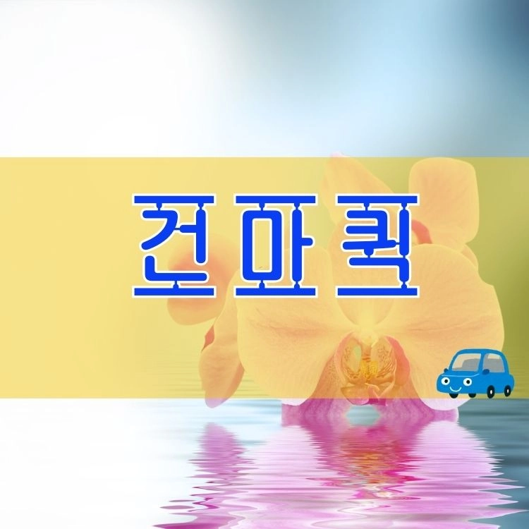 기획전 이미지
