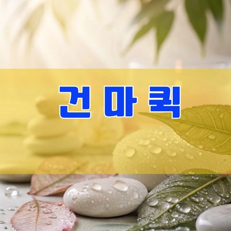 기획전 이미지