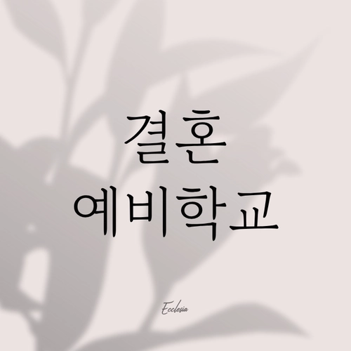 기획전 이미지