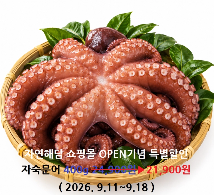 기획전 이미지