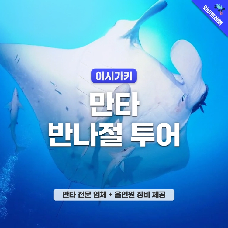 기획전 이미지