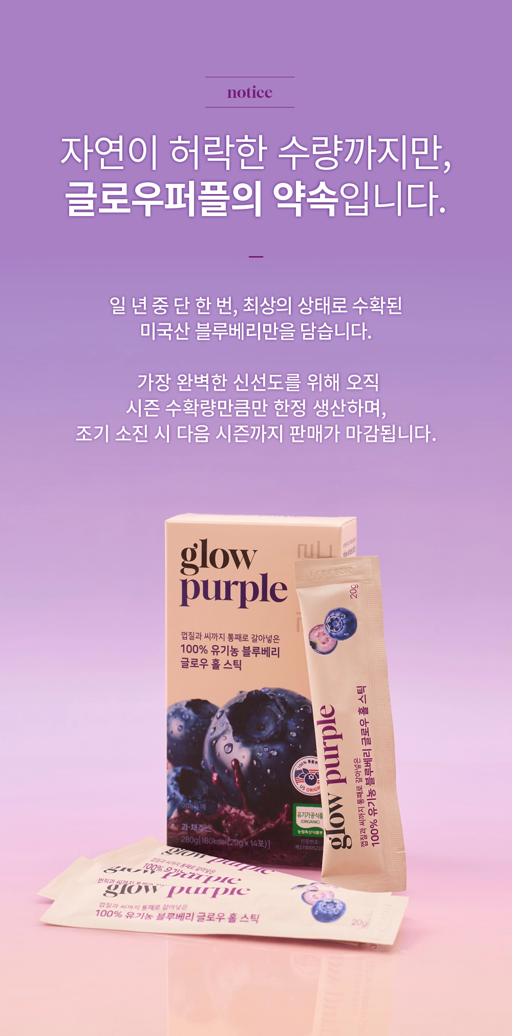 [최대10%할인]글로우퍼플홀스틱1박스