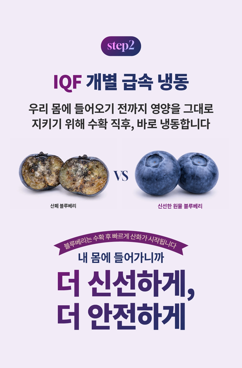 [최대10%할인]글로우퍼플홀스틱1박스