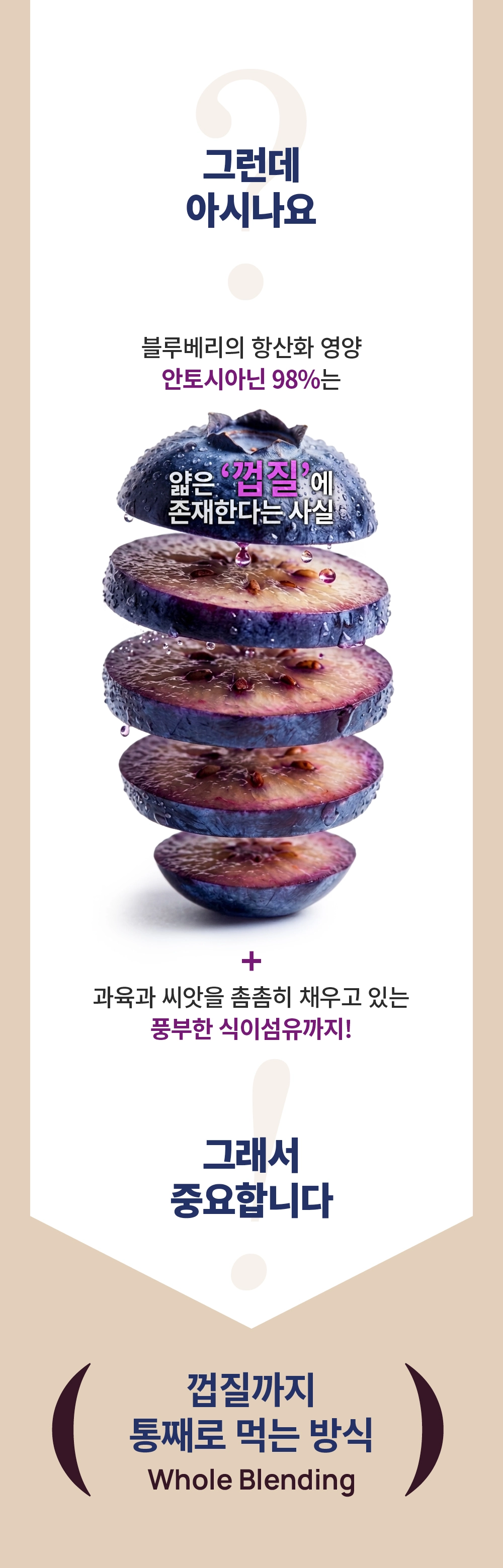 [최대10%할인]글로우퍼플홀스틱1박스