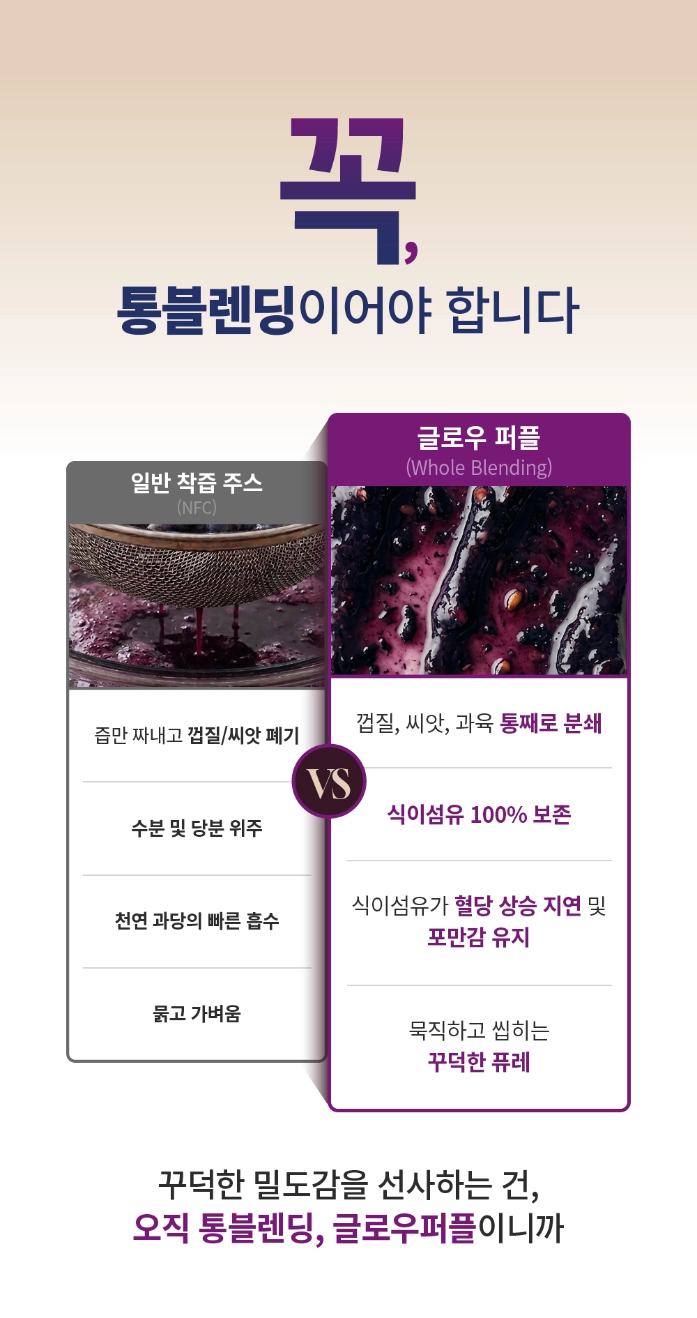 [최대10%할인]글로우퍼플홀스틱1박스