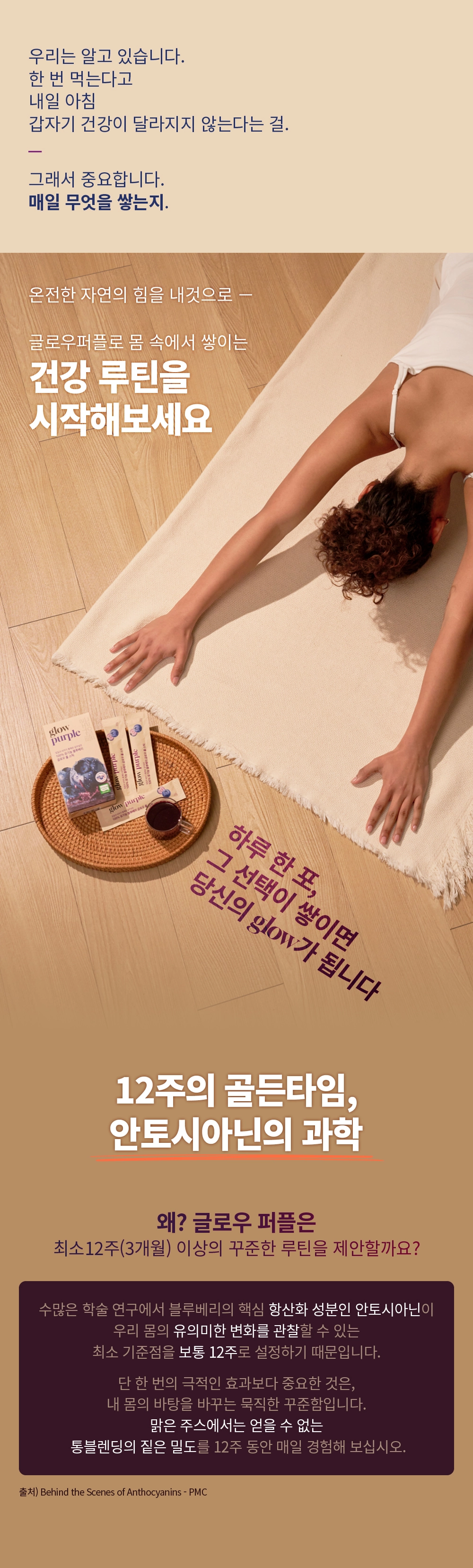 [최대10%할인]글로우퍼플홀스틱1박스