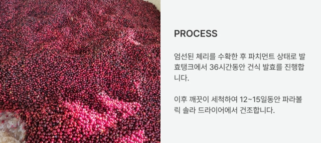 반팔 티셔츠 -S27L1
