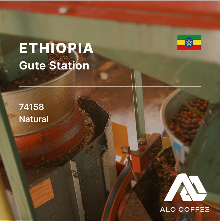 Ethiopia ALO Gute Natural