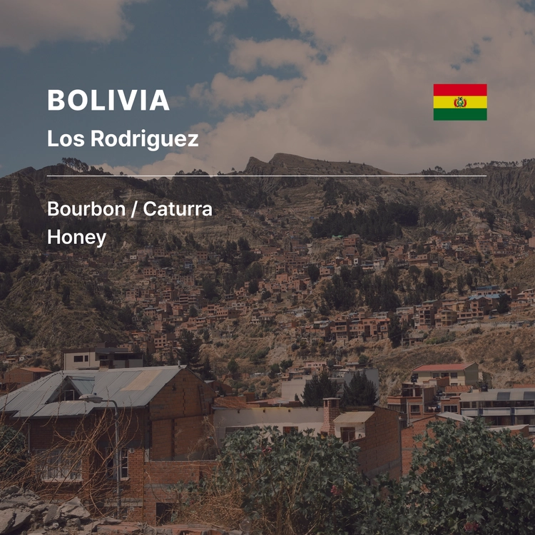 Bolivia Los Rodriguez Bourbon Caturra Honey