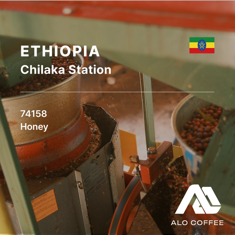 Ethiopia ALO Chilaka Honey