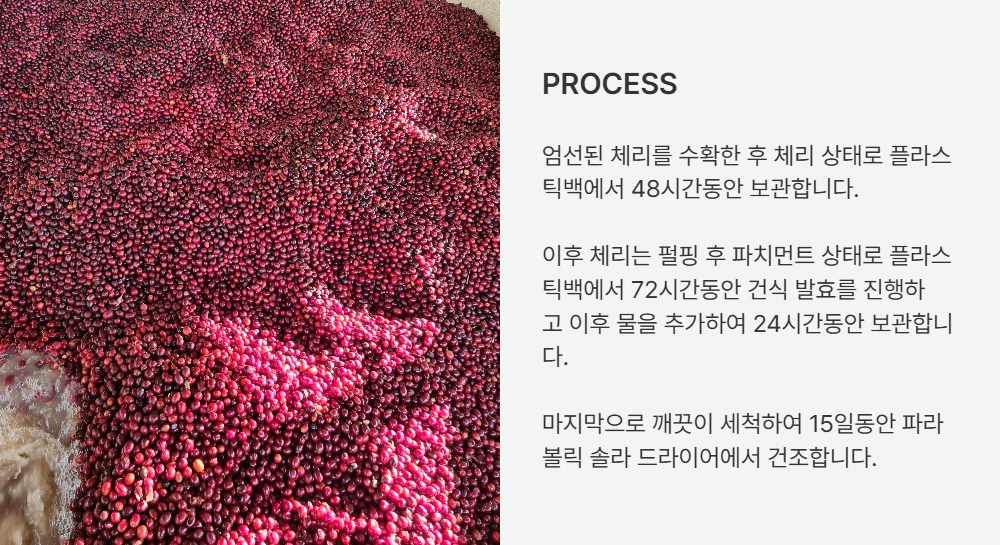 반팔 티셔츠 -S24L2