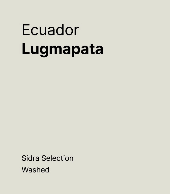 Ecuador Lugmapata Sidra Washed