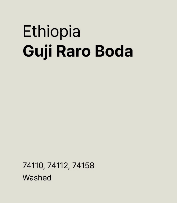 Ethiopia Guji Raro Boda G1 Washed