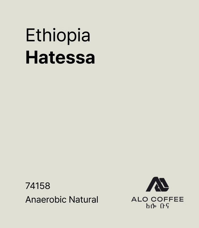 Ethiopia Hatessa Anaerobic Natural