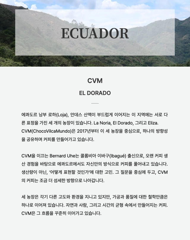 악세사리 상품상세 이미지-S2L1