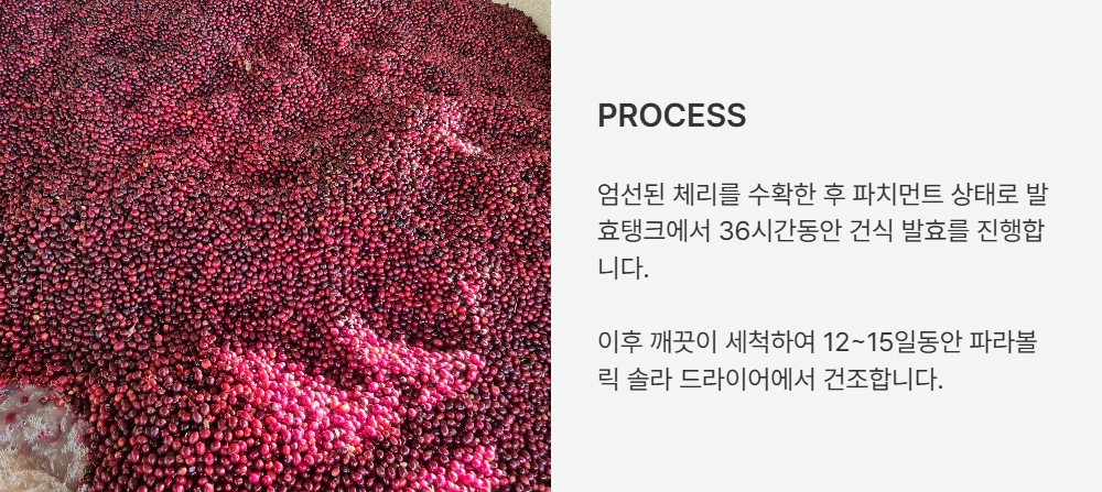 반팔 티셔츠 -S27L1