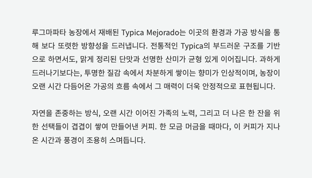 가방 -S11L5