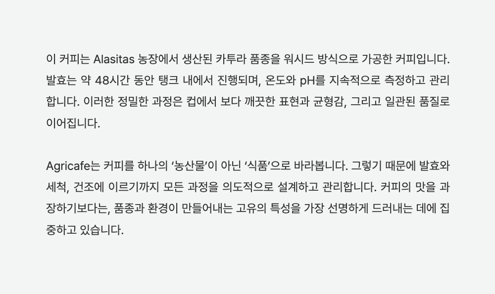 악세사리 -S15L1