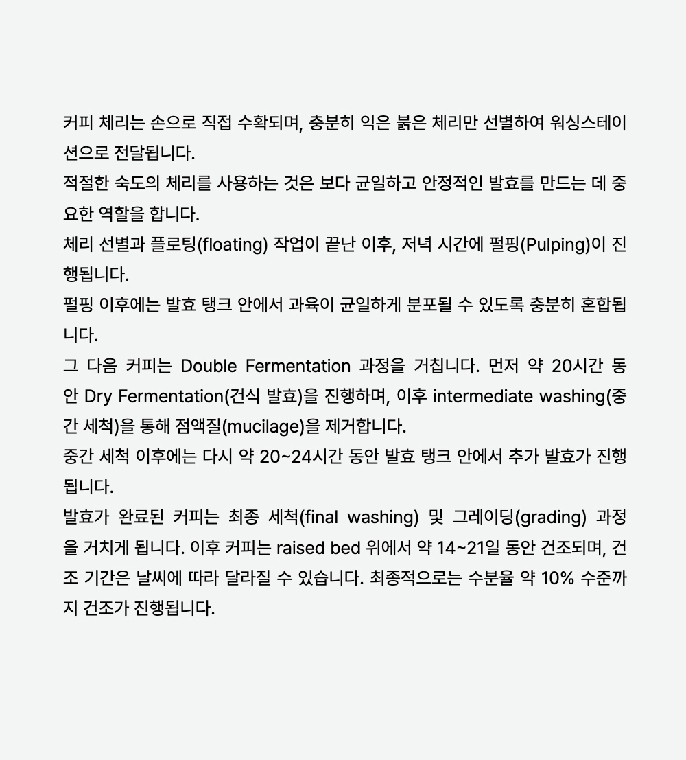 반팔 티셔츠 -S15L1