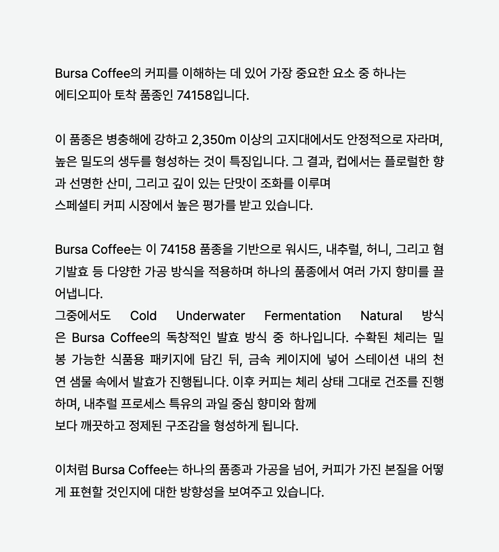 악세사리 -S22L3