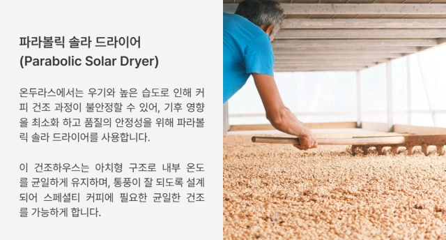 반팔 티셔츠 -S24L4