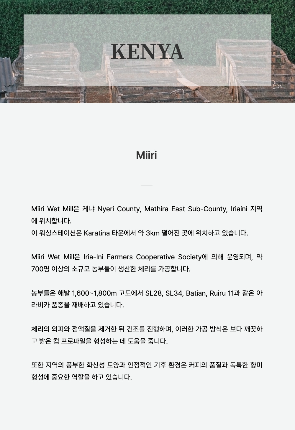 반팔 티셔츠 -S1L1