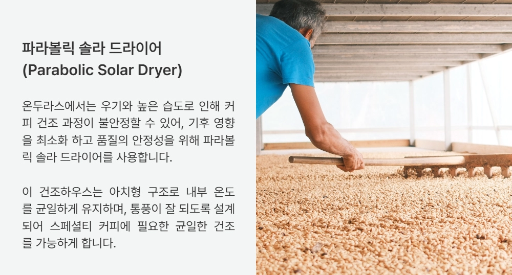 반팔 티셔츠 -S24L4