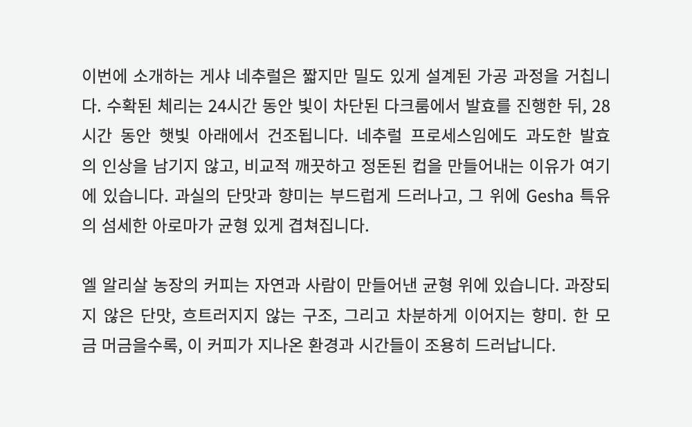 반팔 티셔츠 -S8L1