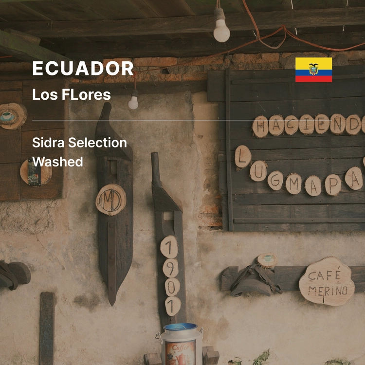 Ecuador Amigo Project #3 Los Flores Sidra Selection Washed