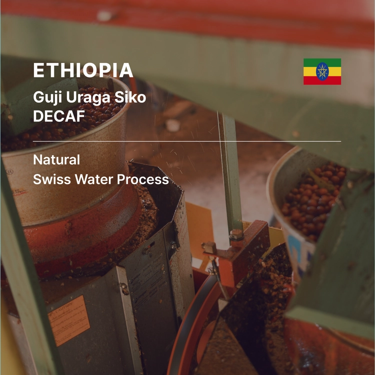 Ethiopia Guji Uraga Siko Natural Swiss Water DECAF