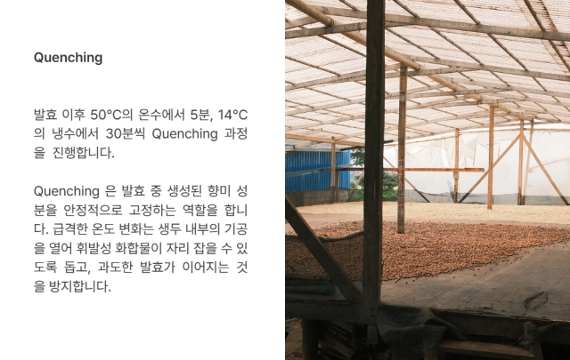 악세사리 -S33L2