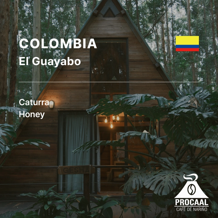 Colombia El Guayabo Caturra Honey