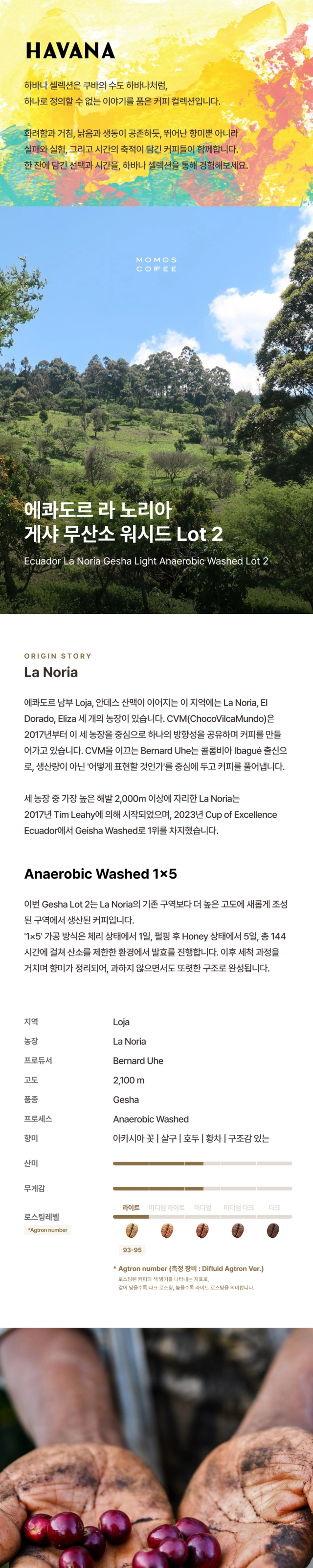 악세사리 모델 착용 이미지-S55L1