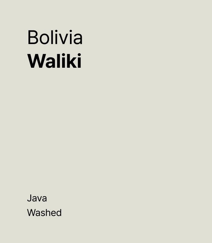 Bolivia Waliki Java Washed