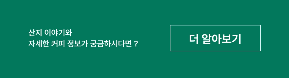 악세사리 그린 색상 이미지-S32L3