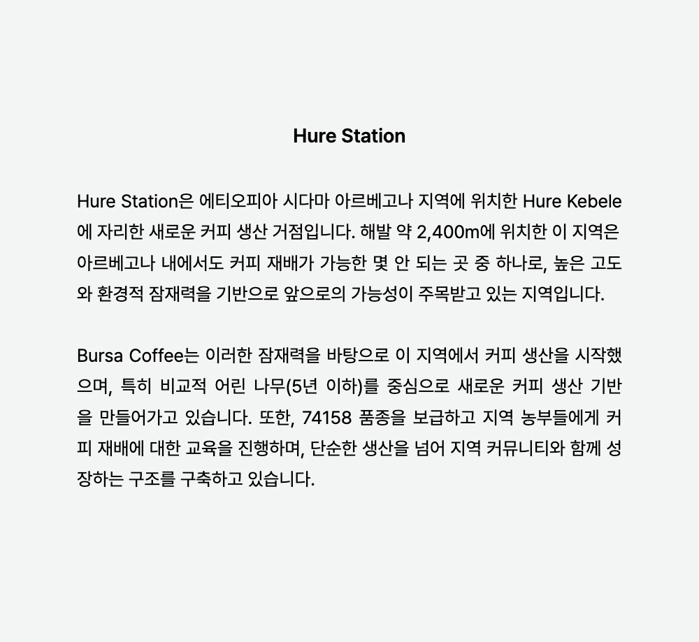 악세사리 -S22L2