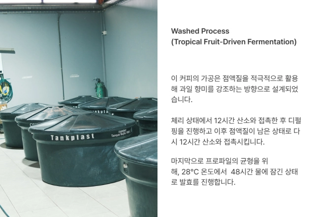 악세사리 카키 색상 이미지-S17L2