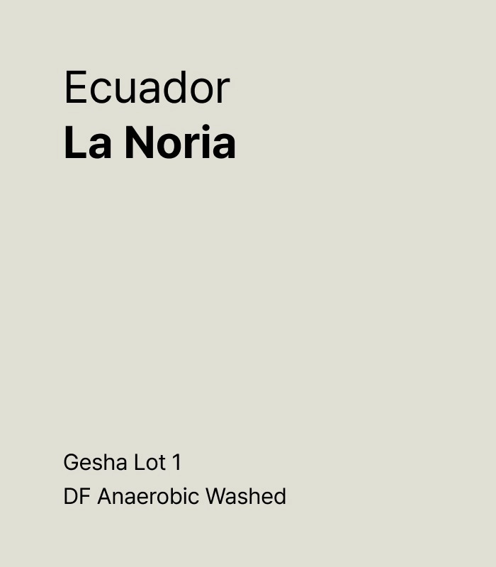 Ecuador La Noria Green Gesha Lot 1 DF Washed