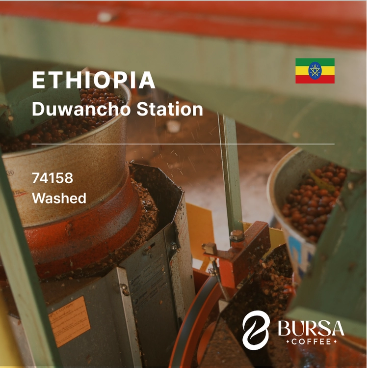 Ethiopia Duwancho G1 Washed