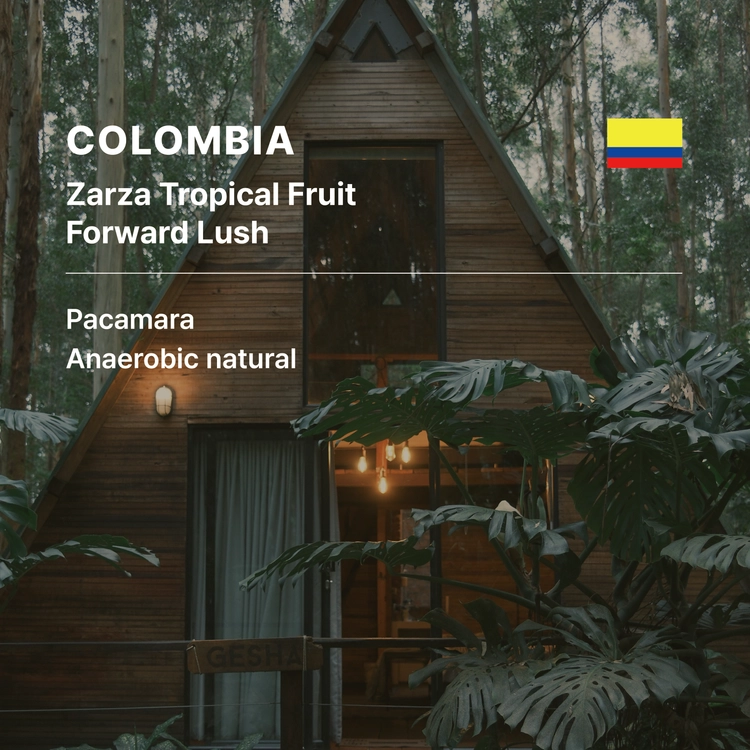 Colombia Zarza Tropical Fruit Forward Lush Pacamara Anaerobic Natural