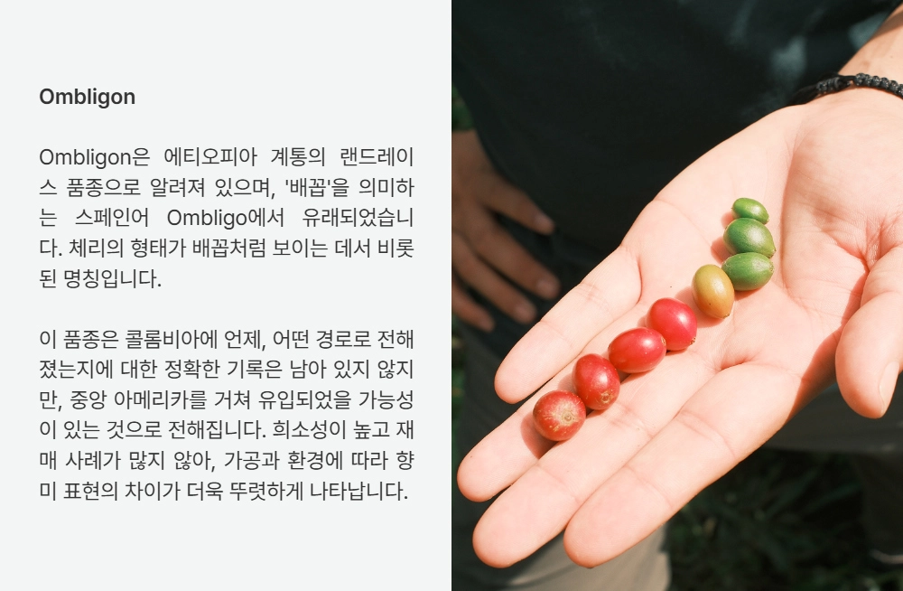 악세사리 상품상세 이미지-S26L1