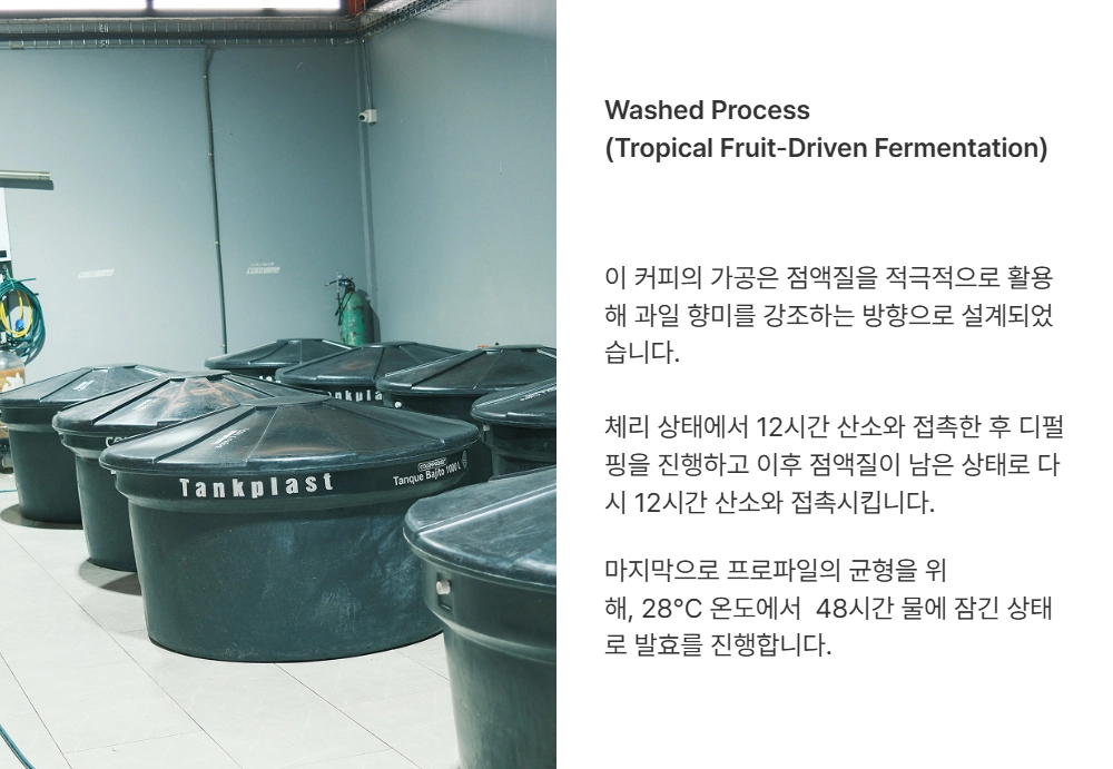 악세사리 카키 색상 이미지-S17L2