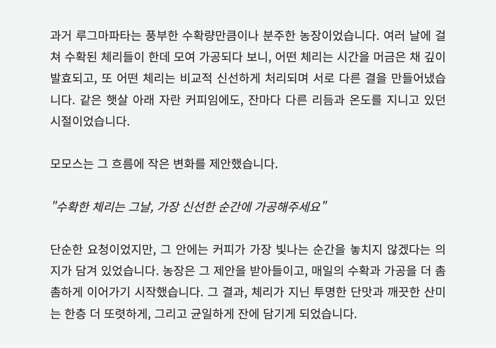 가방 -S1L5
