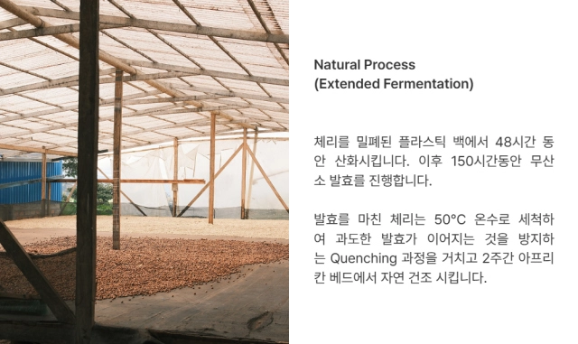 악세사리 상품상세 이미지-S17L2
