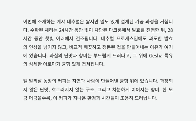 반팔 티셔츠 -S8L1