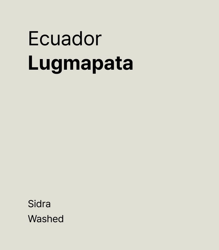 Ecuador Lugmapata Sidra Washed
