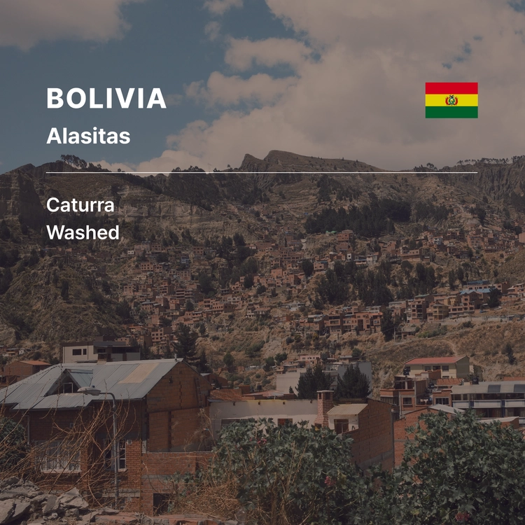 Bolivia Alasitas Caturra Washed