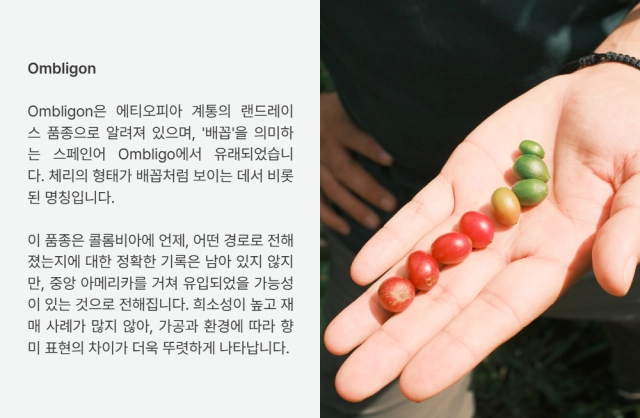 악세사리 상품상세 이미지-S26L1
