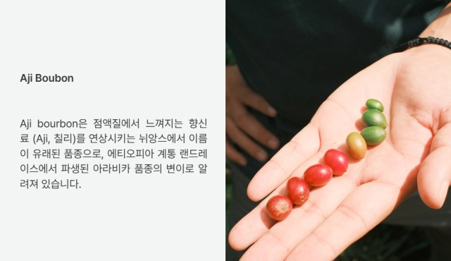 악세사리 상품상세 이미지-S20L1